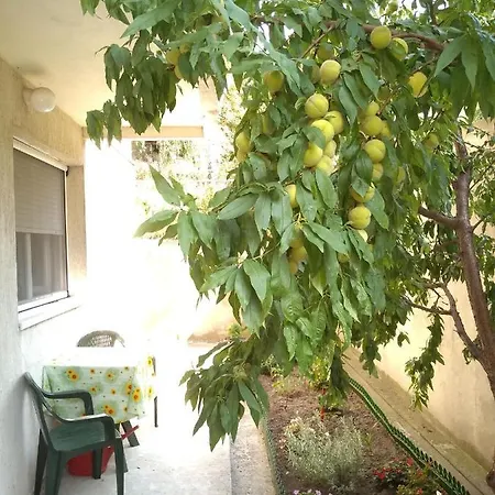 Ada Apartment *